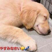 ヒメ日記 2025/03/07 04:53 投稿 まりほ 熟女の風俗最終章 所沢店