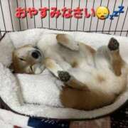 ヒメ日記 2025/04/04 04:33 投稿 まりほ 熟女の風俗最終章 所沢店