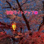 ヒメ日記 2025/04/13 13:54 投稿 まりほ 熟女の風俗最終章 所沢店