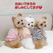 ヒメ日記 2025/05/05 19:44 投稿 まりほ 熟女の風俗最終章 所沢店