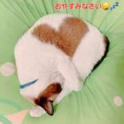 ヒメ日記 2024/12/19 04:33 投稿 まりほ 熟女の風俗最終章 立川店