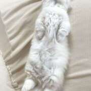 ヒメ日記 2024/12/21 04:43 投稿 まりほ 熟女の風俗最終章 立川店