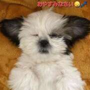 ヒメ日記 2025/02/06 04:33 投稿 まりほ 熟女の風俗最終章 立川店