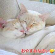 ヒメ日記 2025/03/08 04:43 投稿 まりほ 熟女の風俗最終章 立川店