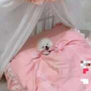 ヒメ日記 2025/04/09 04:43 投稿 まりほ 熟女の風俗最終章 立川店