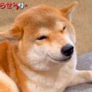 ヒメ日記 2025/04/23 18:23 投稿 まりほ 熟女の風俗最終章 立川店