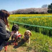 ヒメ日記 2025/02/28 22:43 投稿 あやめ 佐久上田人妻隊