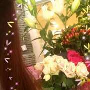 ヒメ日記 2025/04/12 14:31 投稿 あやめ 佐久上田人妻隊