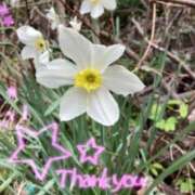 ヒメ日記 2025/04/14 13:06 投稿 あやめ 佐久上田人妻隊