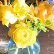 ヒメ日記 2025/04/14 15:50 投稿 あやめ 佐久上田人妻隊