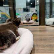 ヒメ日記 2026/01/13 14:09 投稿 あやめ 佐久上田人妻隊