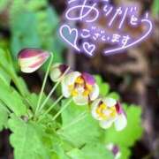 ヒメ日記 2026/02/02 22:34 投稿 あやめ 佐久上田人妻隊