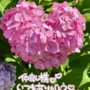 ヒメ日記 2026/02/04 20:51 投稿 あやめ 佐久上田人妻隊