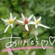 ヒメ日記 2026/02/09 14:29 投稿 あやめ 佐久上田人妻隊