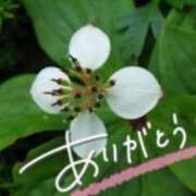 ヒメ日記 2026/02/09 14:32 投稿 あやめ 佐久上田人妻隊