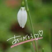 ヒメ日記 2026/02/10 20:51 投稿 あやめ 佐久上田人妻隊