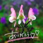 ヒメ日記 2026/02/11 21:54 投稿 あやめ 佐久上田人妻隊