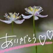 ヒメ日記 2026/02/13 23:32 投稿 あやめ 佐久上田人妻隊