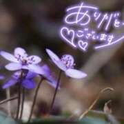 ヒメ日記 2026/02/13 23:37 投稿 あやめ 佐久上田人妻隊