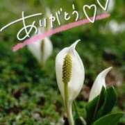 ヒメ日記 2026/02/14 22:55 投稿 あやめ 佐久上田人妻隊