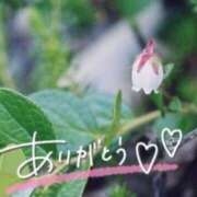 ヒメ日記 2026/02/15 18:54 投稿 あやめ 佐久上田人妻隊