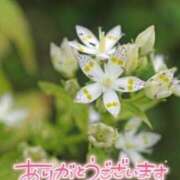 ヒメ日記 2026/02/19 09:56 投稿 あやめ 佐久上田人妻隊