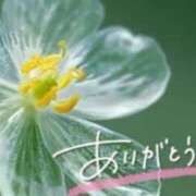 ヒメ日記 2026/02/19 22:21 投稿 あやめ 佐久上田人妻隊