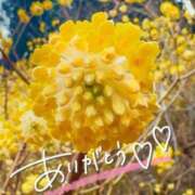 ヒメ日記 2026/02/21 23:05 投稿 あやめ 佐久上田人妻隊