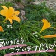 ヒメ日記 2026/02/22 17:29 投稿 あやめ 佐久上田人妻隊