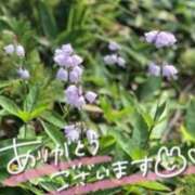 ヒメ日記 2026/02/22 21:31 投稿 あやめ 佐久上田人妻隊