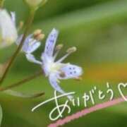 ヒメ日記 2026/02/27 21:55 投稿 あやめ 佐久上田人妻隊