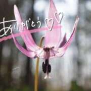 ヒメ日記 2026/02/28 23:13 投稿 あやめ 佐久上田人妻隊