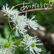 ヒメ日記 2026/03/07 17:43 投稿 あやめ 佐久上田人妻隊