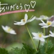 ヒメ日記 2026/03/07 17:53 投稿 あやめ 佐久上田人妻隊