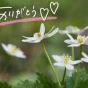 ヒメ日記 2026/03/12 21:04 投稿 あやめ 佐久上田人妻隊