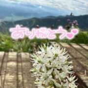 ヒメ日記 2026/03/13 09:45 投稿 あやめ 佐久上田人妻隊