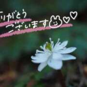 ヒメ日記 2026/03/13 13:39 投稿 あやめ 佐久上田人妻隊