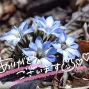 ヒメ日記 2026/03/14 21:13 投稿 あやめ 佐久上田人妻隊