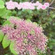 ヒメ日記 2026/03/15 09:34 投稿 あやめ 佐久上田人妻隊