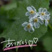 ヒメ日記 2026/03/15 22:03 投稿 あやめ 佐久上田人妻隊