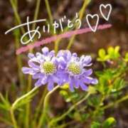 ヒメ日記 2026/03/25 16:27 投稿 あやめ 佐久上田人妻隊