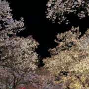 ヒメ日記 2026/04/04 00:27 投稿 あやめ 佐久上田人妻隊