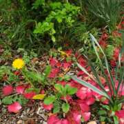 ヒメ日記 2026/04/05 09:44 投稿 あやめ 佐久上田人妻隊