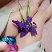 ヒメ日記 2026/04/08 10:16 投稿 あやめ 佐久上田人妻隊