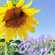 ヒメ日記 2026/04/08 20:47 投稿 あやめ 佐久上田人妻隊