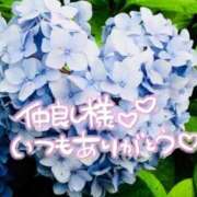 ヒメ日記 2026/04/08 20:57 投稿 あやめ 佐久上田人妻隊