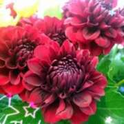 ヒメ日記 2026/04/13 19:13 投稿 あやめ 佐久上田人妻隊