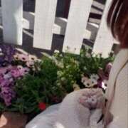 ヒメ日記 2026/04/14 22:39 投稿 あやめ 佐久上田人妻隊