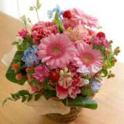 マユミ あめーっっっ キャンディ(鹿児島)