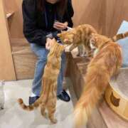 ヒメ日記 2025/01/21 10:04 投稿 瀬里奈-せりな 熟女10000円デリヘル横浜